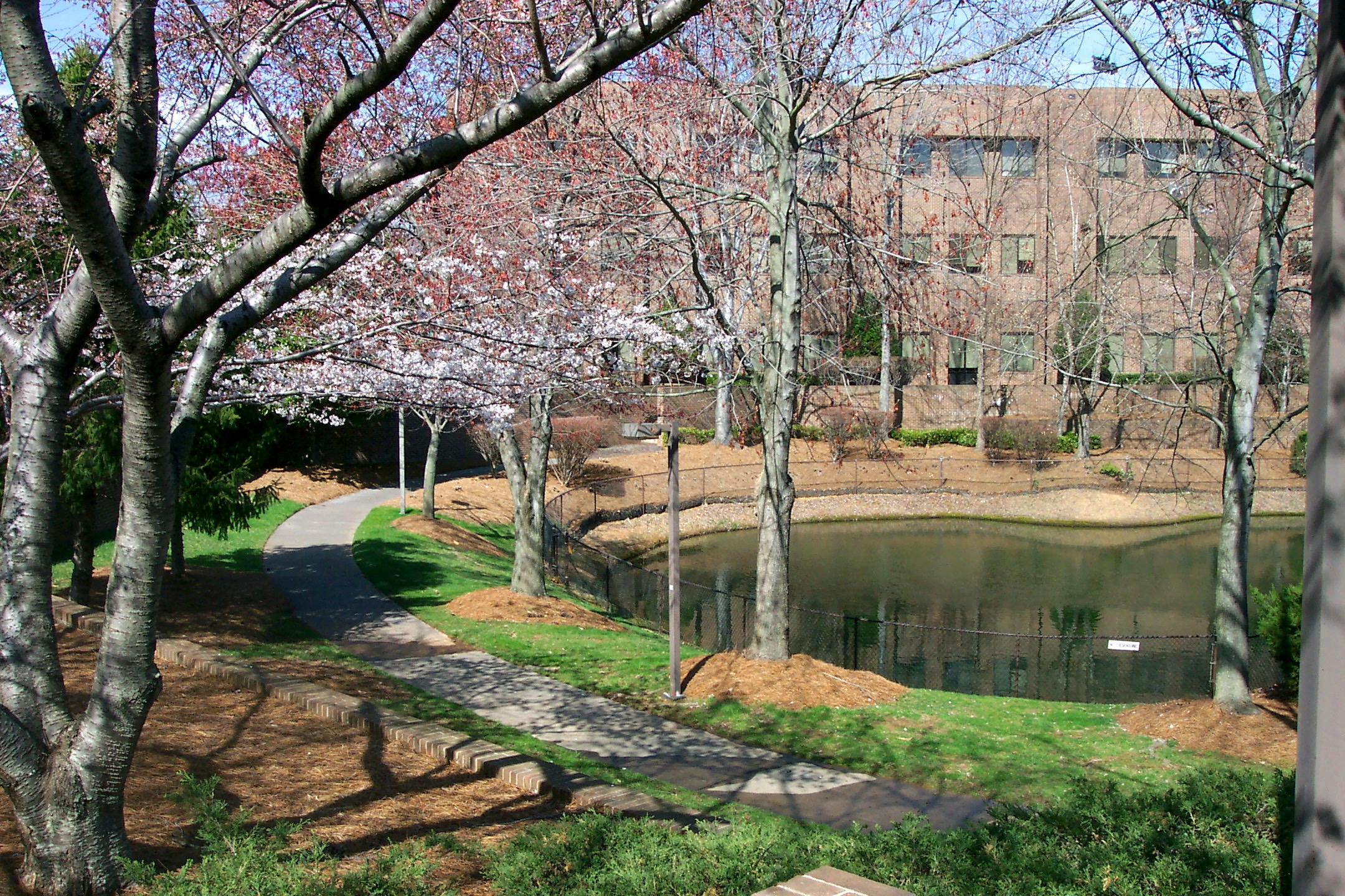 placeholder image-sq